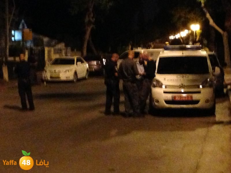 fireludmidnight530 (8).jpg